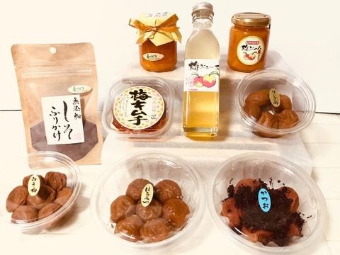 和歌山紀州南高梅５種類  梅製品詰め合せセット   ２セット