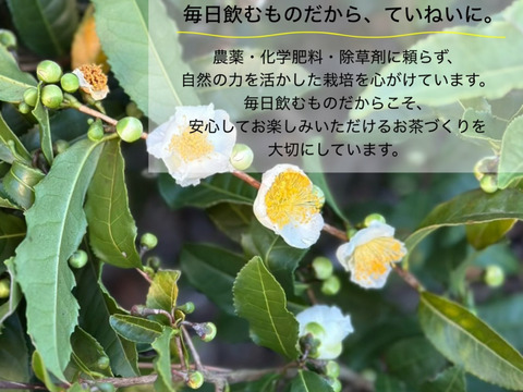＊2026年新茶＊【苦くない緑茶】伝統とこだわりの味！まろやかな甘味と深い味わい♪  深蒸しかぶせ茶　 茶葉 80g (約40杯分)  農薬・化学肥料・除草剤・畜産堆肥不使用　宇治茶100%