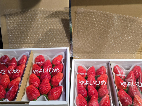 果汁たっぷり❗やよいひめ『群馬いちご』320g×4トレー（2箱）