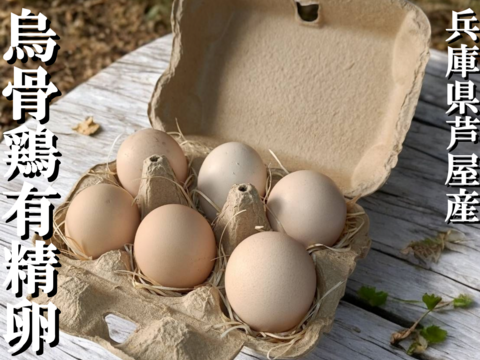 【品質検査済み】兵庫県芦屋産 放飼い烏骨鶏の有精卵『ラン・デリッチ』　６個入 ■クール便配送■【冬ギフト】