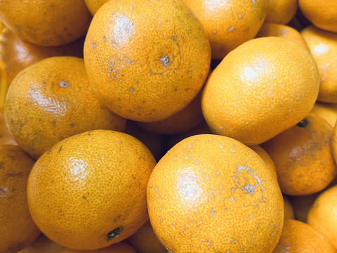 温州みかん(3kg)自然栽培