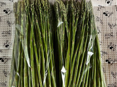【訳あり極細】グリーンアスパラガス１ｋｇ　北海道幕別町産露地（Ｓ～ＳＳサイズ）