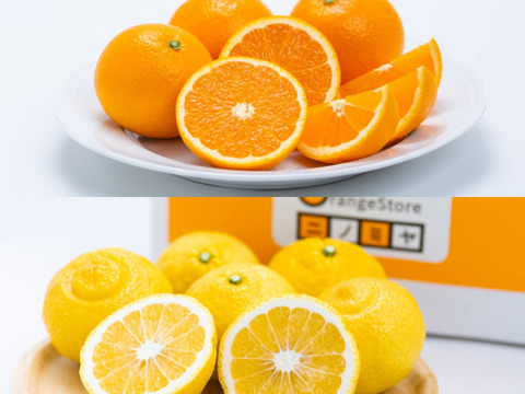 【朝市限定商品】「きよみ」×「はるか」ハーフセット!合計5㎏ ※ご家庭用