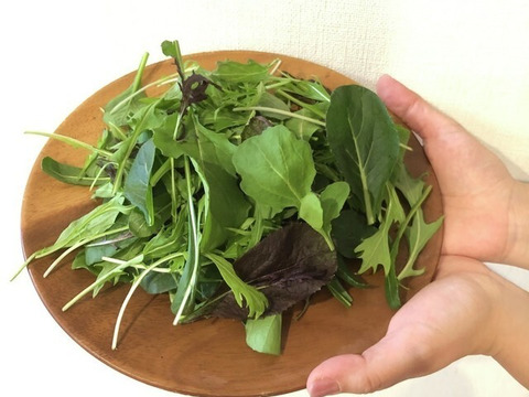 洗ってお皿に盛り付けるだけの『サラダセット』50g×10袋