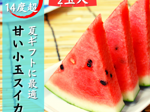 【ギフト専用 2玉入り】 本当に甘い 小玉スイカ スイカ  秋田県産 スイカ 夏の風物詩 ギフト お中元 夏丸 2玉入り 暑中見舞い 美味しい 甘い チッチェ 夏丸チッチェ 旬 お中元 ギフト