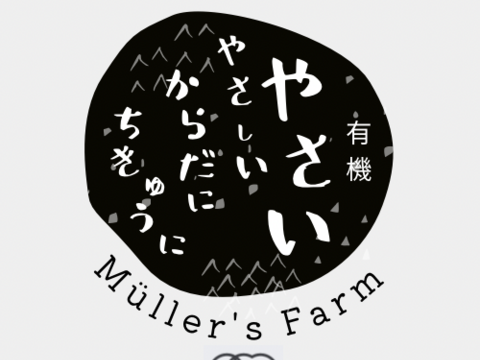 オーガニック加茂ナス・真黒茄子おまかせMIX🍆　5kg
Organic Round &Long Aubergine 【有機JAS認証取得】