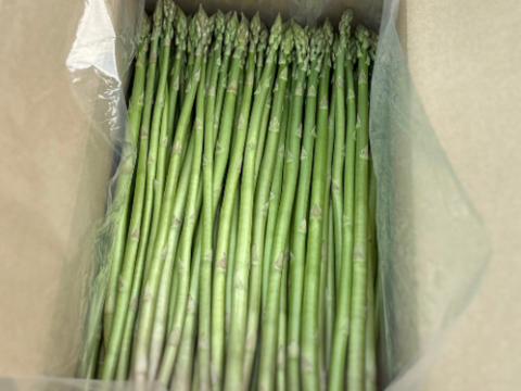 ＼ＳＭ混合1.8kg／無菌の自噴水と寒暖差で育てた『春芽アスパラガス』伊万里産