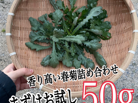 3種類の春菊を50g！新鮮な採れたてを産地直送