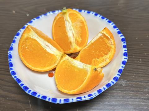 完熟タンカン　ご家庭用（5kg）