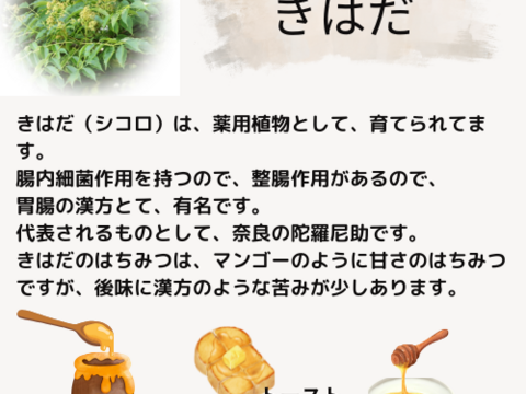 【非加熱･無添加】健康志向の方に！国産はちみつ　きはだ　500g