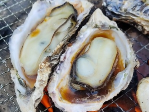 牡蠣好き歓喜の30%増量中！三重県産 殻付き 浦村かき M～Lサイズ 30個入り（約3.3kg前後）（3～6人前）【生牡蠣】【生食用】貝類 海鮮 バーベキューに BBQ お歳暮 母の日ギフト