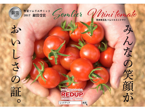【特別栽培農産物の取得】ソムリエミニトマト　プラチナ８ｋｇ