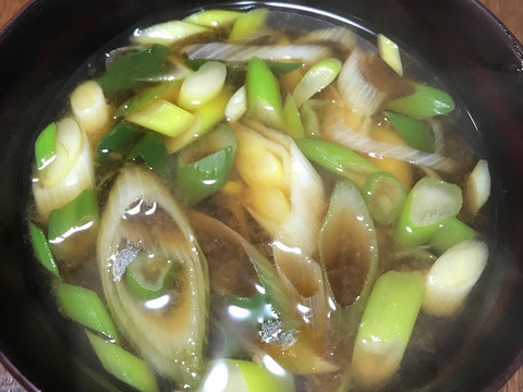 【自然栽培】自家採種一本ネギ1kg