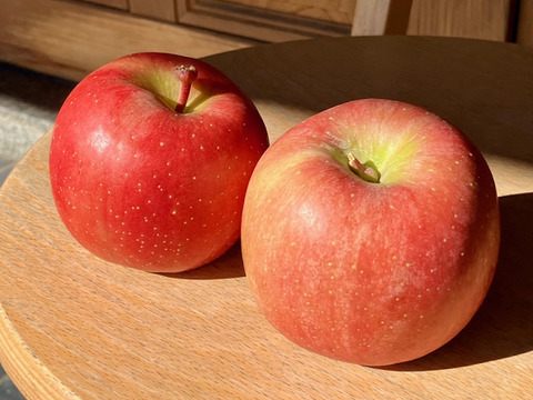 売り切れ御免！超蜜入りりんご 「こうとく」（2㎏）