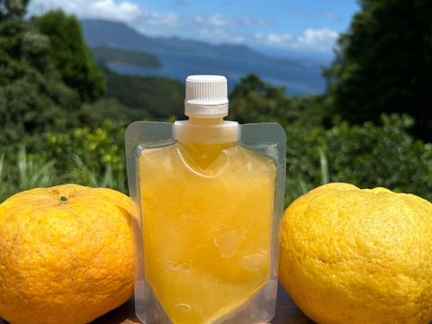 フローズン甘夏みかんジュース10本セット　（1本150ml）