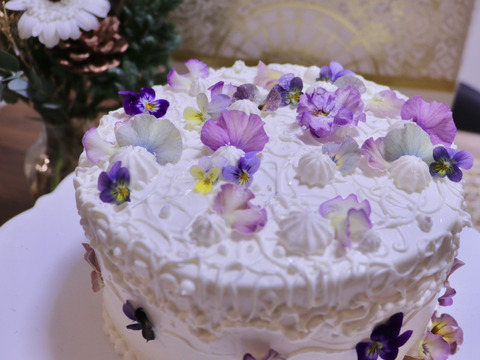 【フリル咲パンジー】40輪　※終了しました。