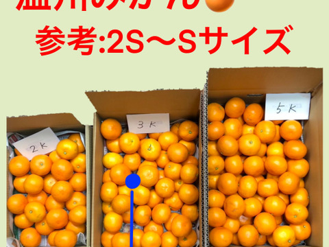 〜みかんの甘さの向こう側を知りたい〜over the みかん🍊【箱込10kg】