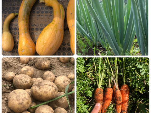 ※数量限定【農薬・化学肥料不使用栽培】農園おまかせ　旬の野菜セット