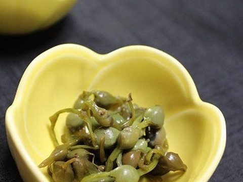 期間限定】ミズのこぶ/ミズの実/初秋の山菜/500g/採取後発送