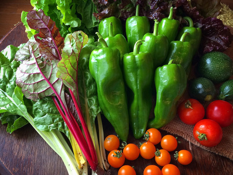 【自然栽培】旬のおまかせ野菜セット｜6～7品目★農薬・肥料不使用