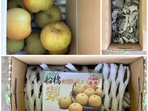 ふぞろいの梨（幸水） 3kg  千葉県船橋市のあま～い完熟梨！