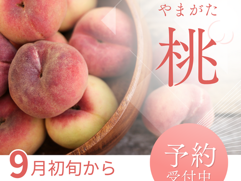 【 🍑早期予約🍑 】【 30箱限定 】【 3000件突破‼️大人気‼️お試しに 】【 🍑川中島白桃•家庭用🍑 】山形県天童産 桃 3.0k 【 果肉ジューシー 】さくらんぼとご一緒に！