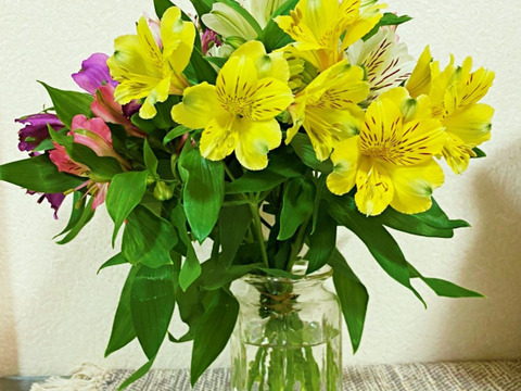 訳アリ花束 アルストロメリア 10本程度 長野県産の花 植物 食べチョク 産地直送 産直 お取り寄せ通販 農家 漁師から旬の食材を直送