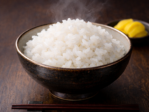 【令和８年産新米】●キヌヒカリ10kg●玄米