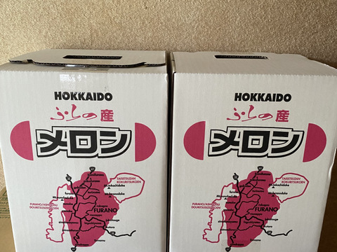 【北海道富良野産】 赤肉メロン 大1玉  ラベンダ付