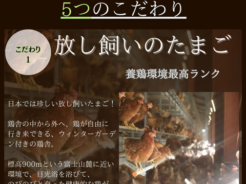 黄身が甘い！富士山麓の放し飼い卵『福が、きた』【10個入×2PC】