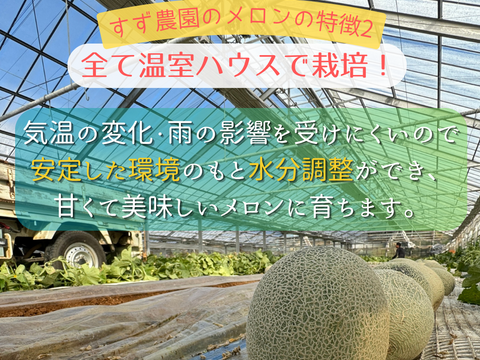 ルピアレッドメロン　4L2玉