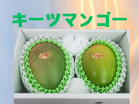 幻のマンゴー】宮古島キーツマンゴー：沖縄県産のキーツ｜食べ