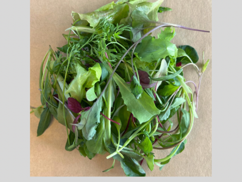 【北海道朝採りやわらか】TechFarm手摘みベビーリーフ 50g×4袋（冷蔵）