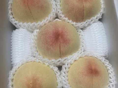 果汁たっぷり！岡山県産『白鳳』家庭用 1.5kg 5~7玉