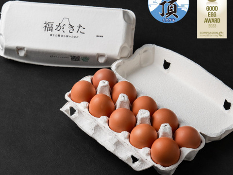 黄身が甘い！富士山麓の放し飼い卵『福が、きた』【10個入×2PC】