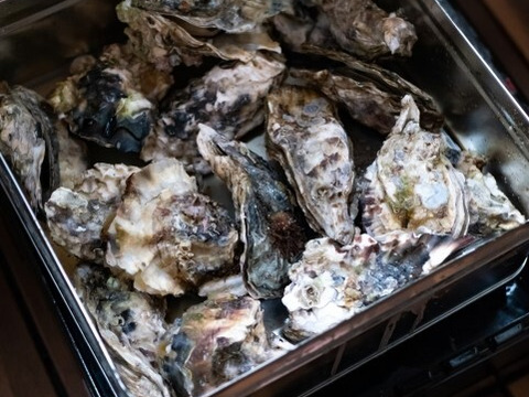 【冷凍かき】三重県産 加熱用 浦村かき カンカン焼き（ 1缶に約50個入り）BBQ バーベキュー 海鮮 牡蠣