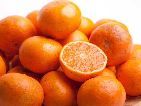 小玉！有田みかん 5kg【わけあり】