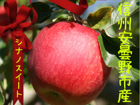 【予約】【数量限定】信州安曇野市産シナノスイート　りんご　5㎏箱　約12〜20玉　優品