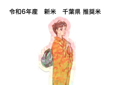 新米【令和6年 玄米 】10kg 農薬不使用 ・化学肥料不使用 千葉県香取市産 特別栽培米　ふさおとめ  農家直送　収穫したてです。