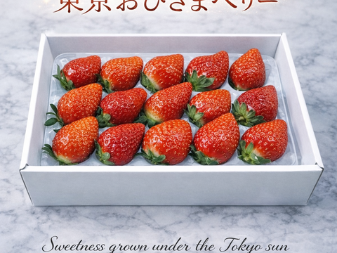 【おためしセール当店通常価格の25％OFF】「東京おひさまベリー」(9～20粒入り、約300g)【贈答用いちご】 東京生まれのニューブランド ギフト 果物 プレゼント 贈り物 お礼品 御礼品 誕生日