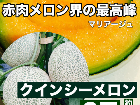 赤肉メロン界の最高峰　マリアージュ
熊本県産クインシーメロン2玉　3kg以上