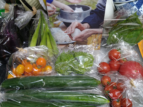 山のミネラルたっぷり！ソノちゃんのこだわり野菜セット7〜9種