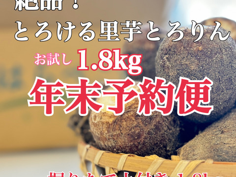 【年末予約便】とろける里芋とろりん1.8kg