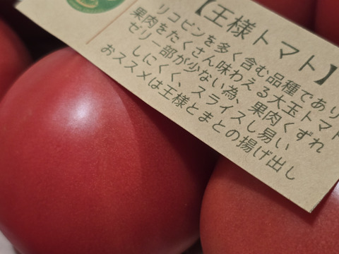 《クール便》夏の王様トマト🍅赤熟もぎりの【麗月】小玉１１玉詰め！＋ 朝もぎキュウリ🥒３本 ６０size箱 約１.６キロ （訳あり)　小玉🍅１玉増量♪