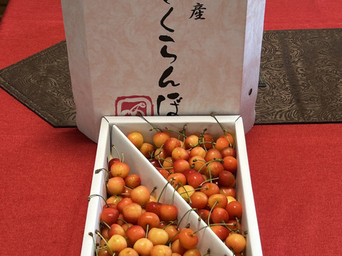 フランソワ・ディザルニ作 『ブーケとさくらんぼ』 楽天市場】【期間限定品】山形県産佐藤錦さくらんぼひとくち