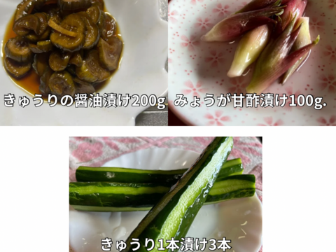 漬物3点セット　きゅうりの醤油漬け200g・みょうがの甘酢漬け100g・きゅうり1漬け3本　群馬県東吾妻町産