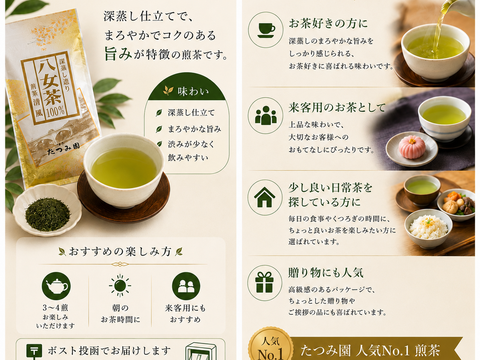 新茶✨当店人気 八女茶100g×5本セット（同一茶葉）