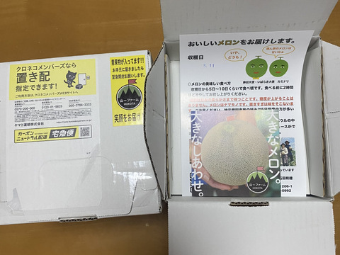2024茨城メロン品評会グランプリ受賞👑クインシーメロン(5L特大1個入り)