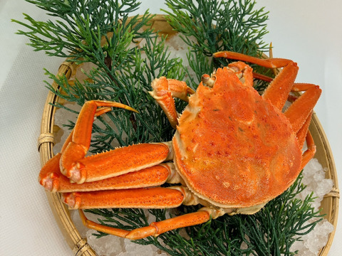 【外子内子ミソmix】茹でセイコガニ1杯約150g×4杯