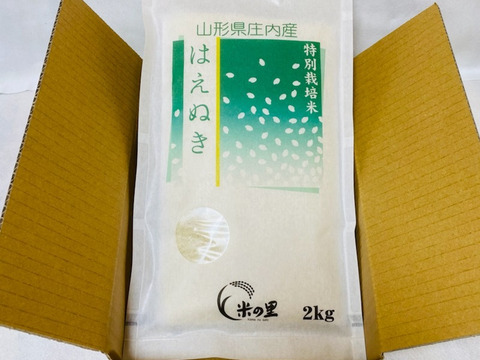 山形県産特別栽培米はえぬき（白米）２ｋｇ